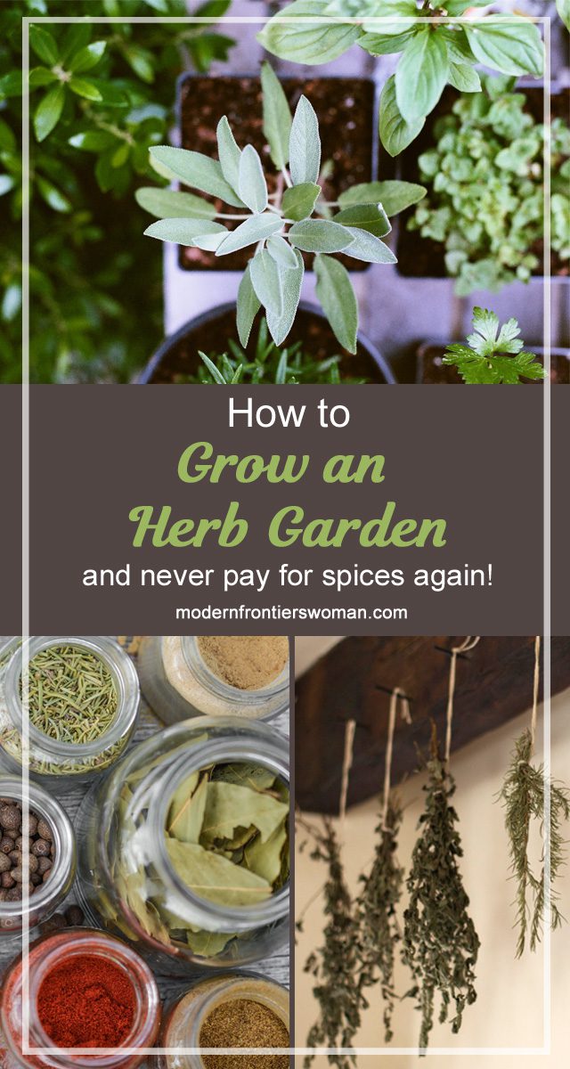 How to grow an herb garden (and never pay for spices again!)
