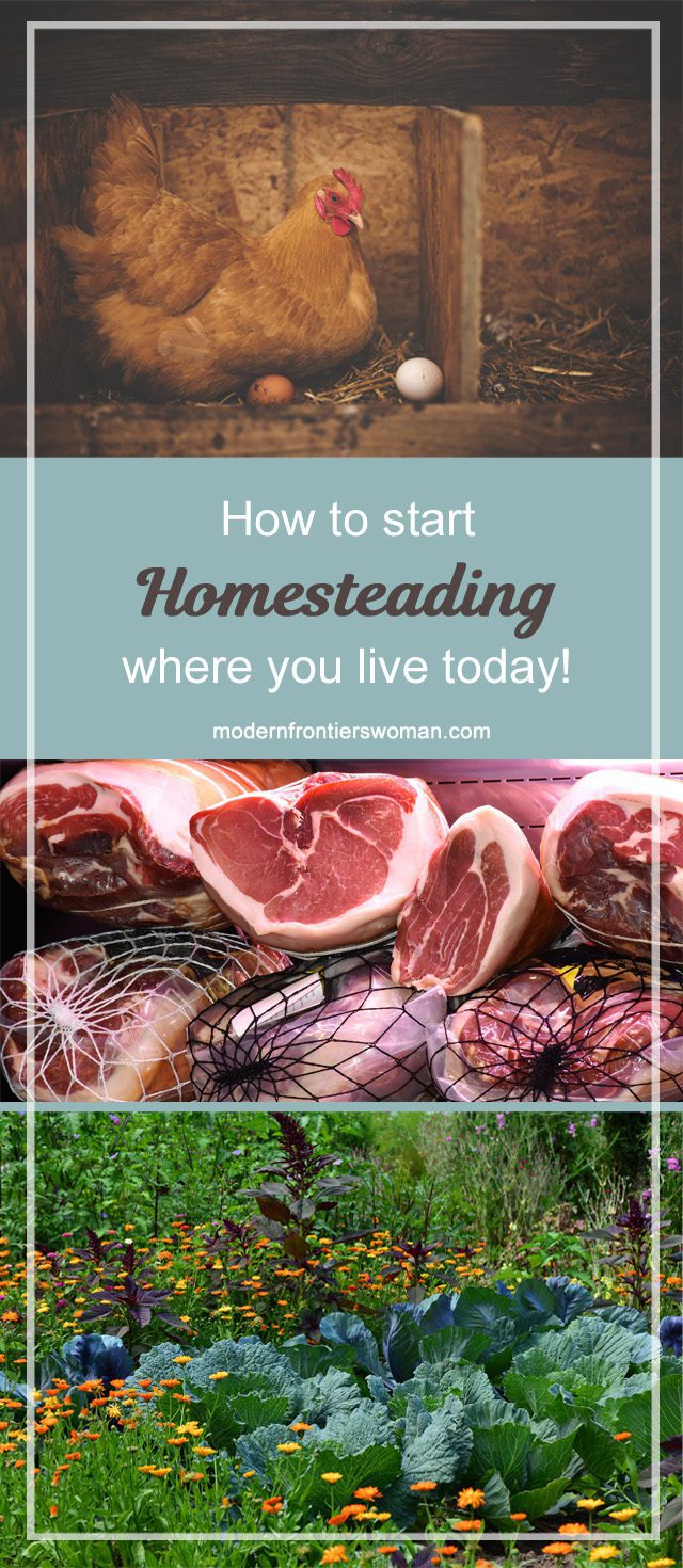 How to Start Homesteading Where You Live Today!