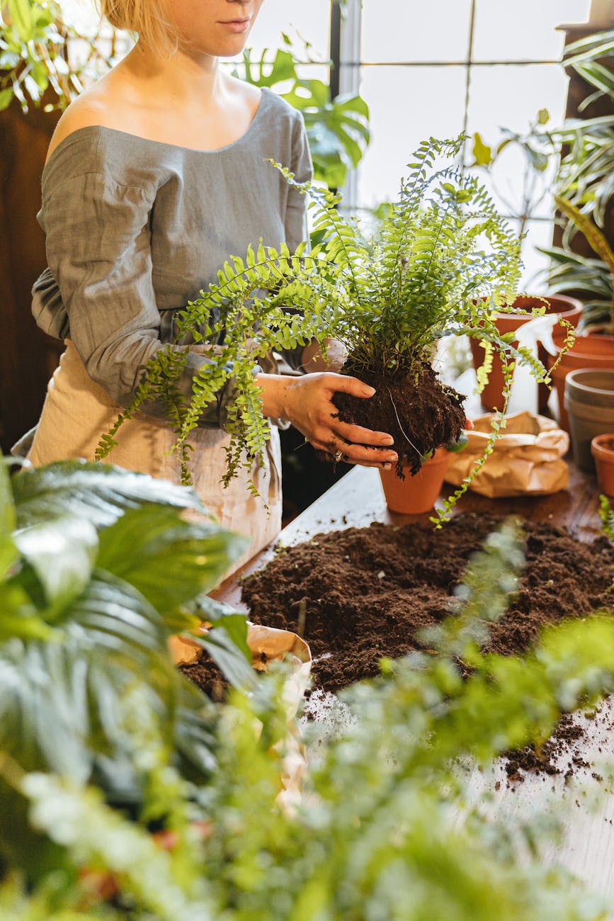 How to start Homesteading: Gardening