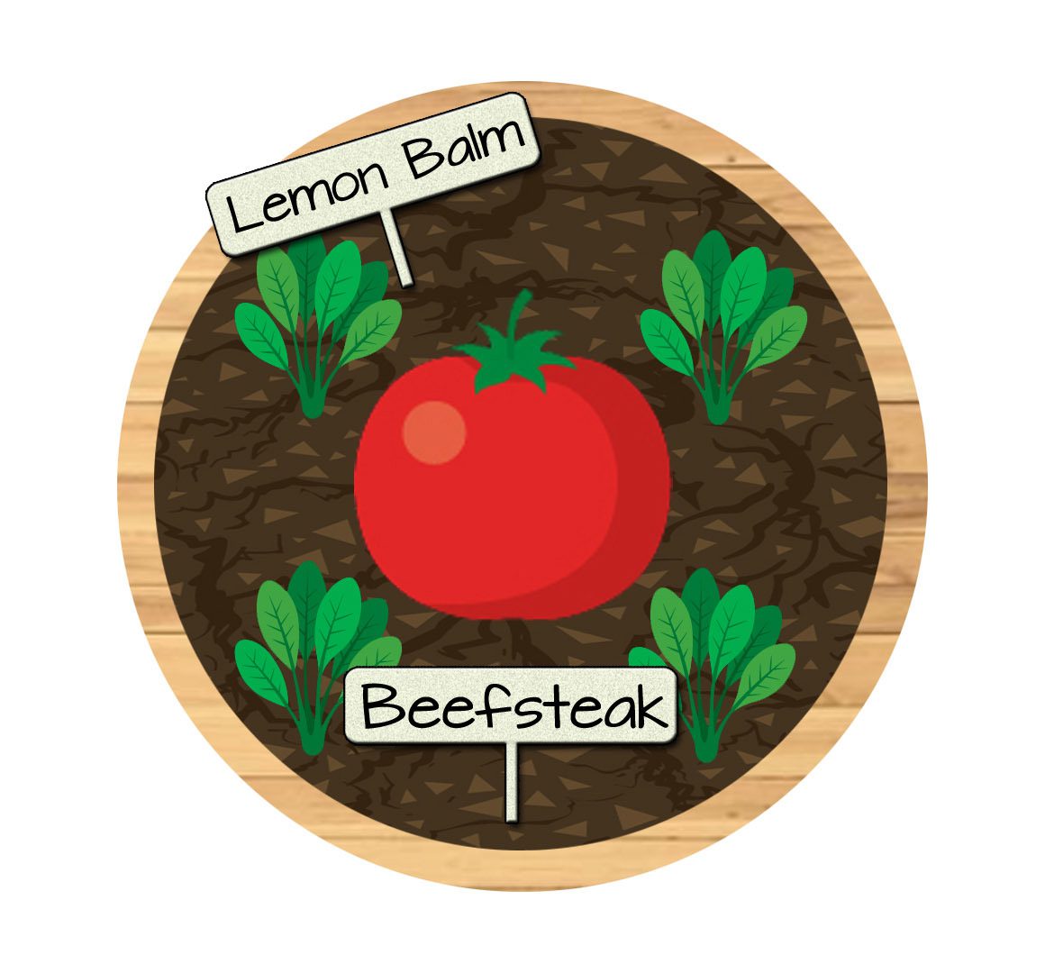 Bucket 1 - Beefsteak Tomatoes and Lemon Balm Raised Bed Vegetable Garden Plan