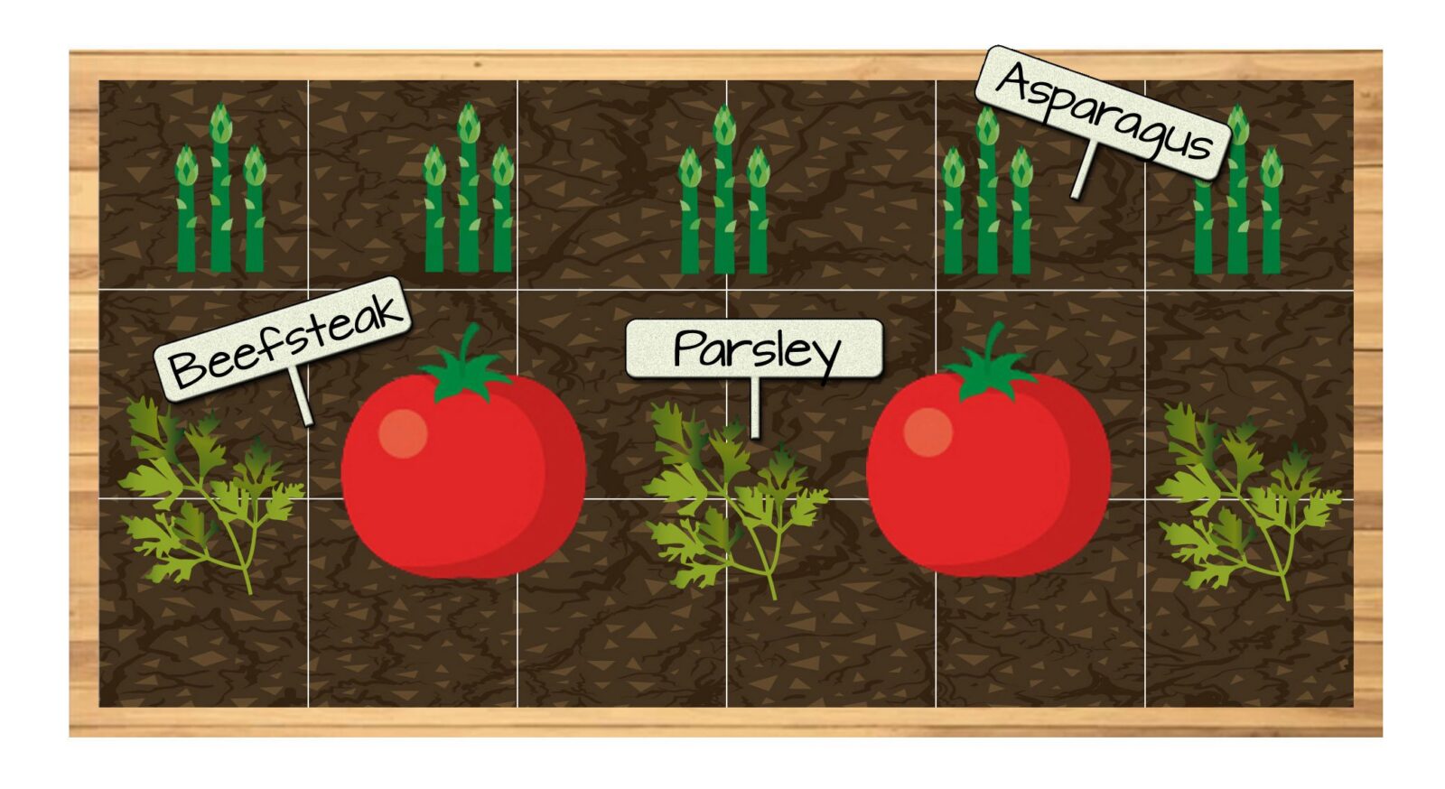 Raised Bed Vegetable Garden Plan 1 - Parsley, Beefsteak Tomatoes, and Asparagus
