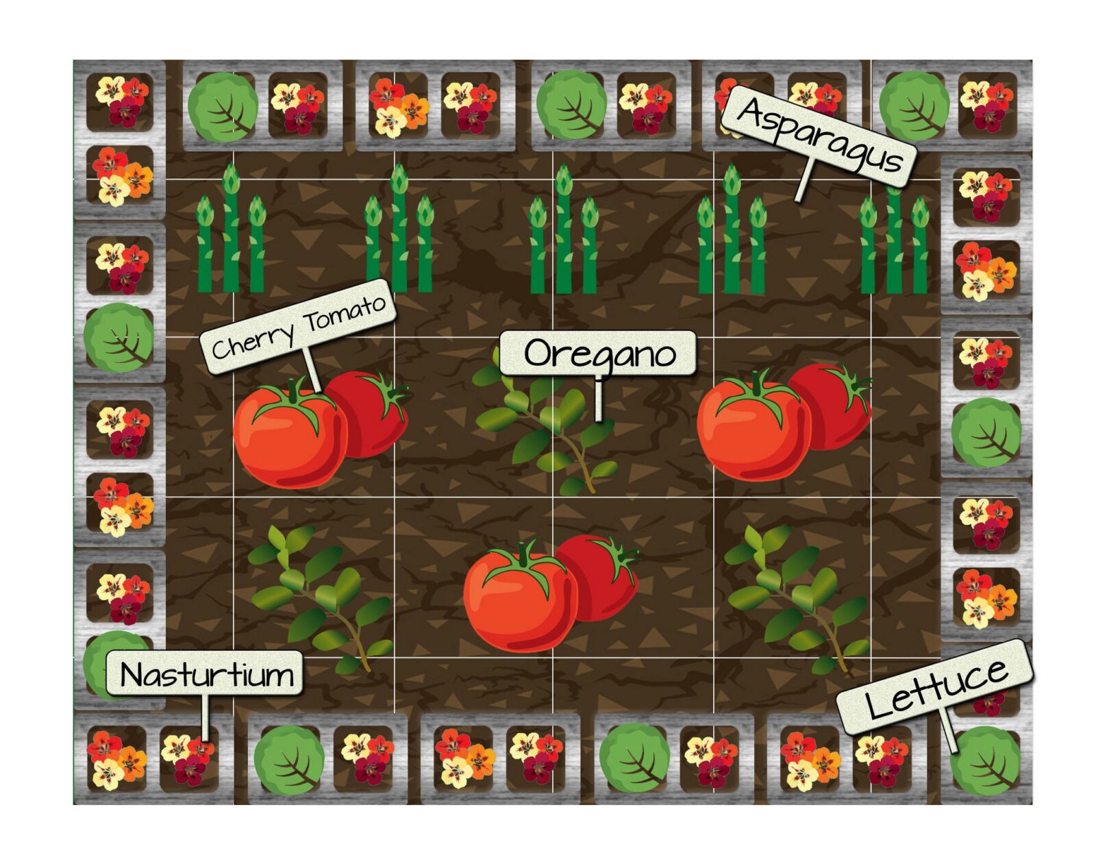 Raised Bed Vegetable Garden Plan 10 - Cherry Tomatoes, Oregano, Lettuce, Nasturtium, and Asparagus