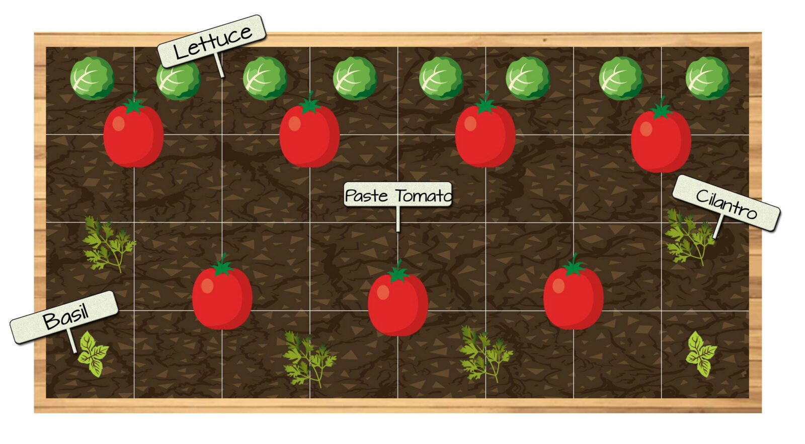 Raised Bed Vegetable Garden Plan 13 - Lettuce, Paste Tomatoes, Cilantro and Basil