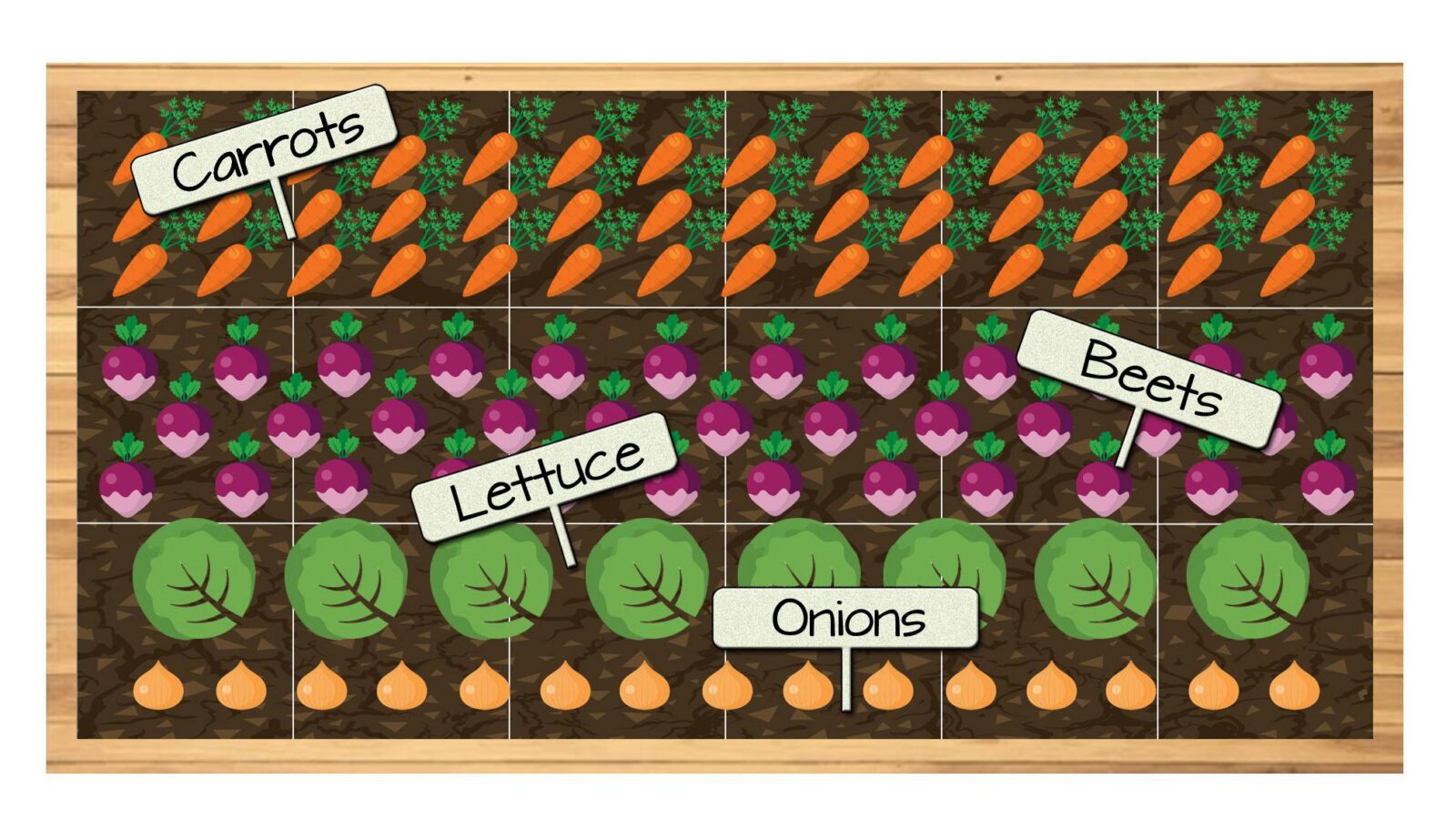 Raised Bed Vegetable Garden Plan 5 - Carrots, Beets, Lettuce, and Onions