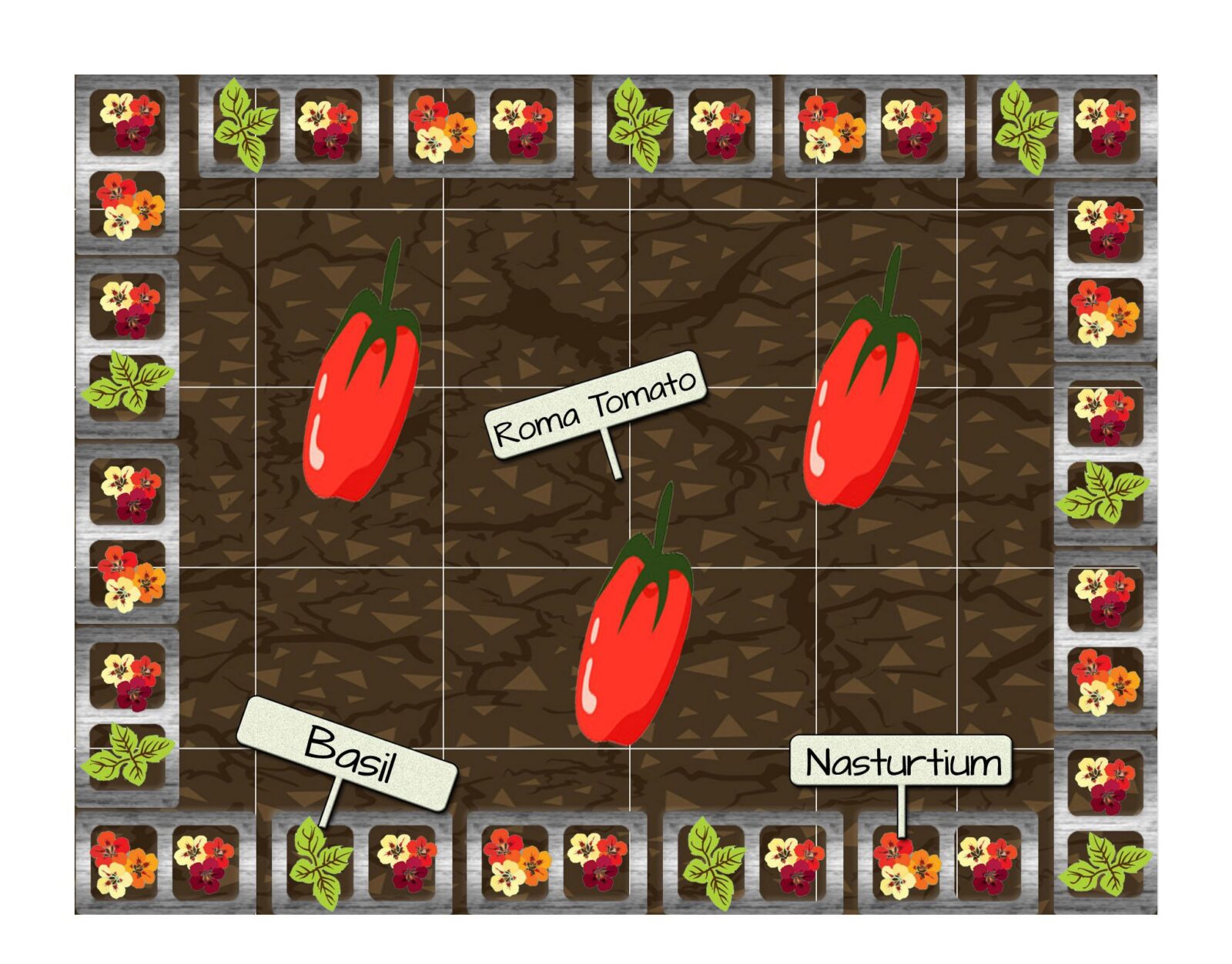 Raised Bed Vegetable Garden Plan 6 - Roma Tomatoes, Basil and Nasturtium