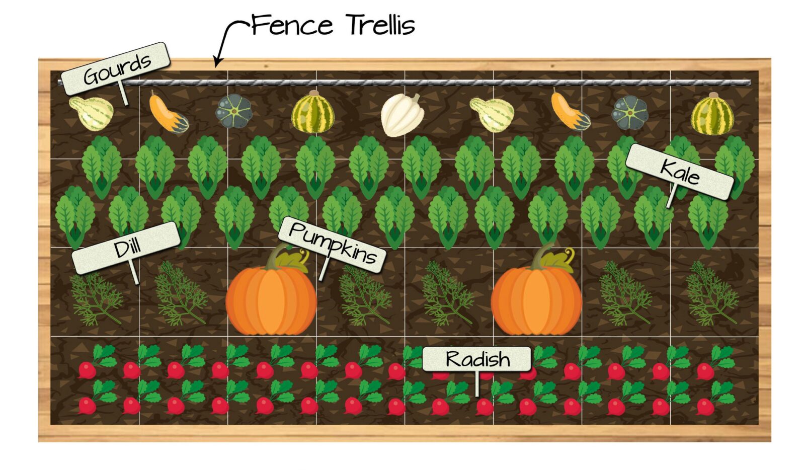 Raised Bed Vegetable Garden Plan 7 - Gourds, Pumpkins, Kale, Dill, and Radish