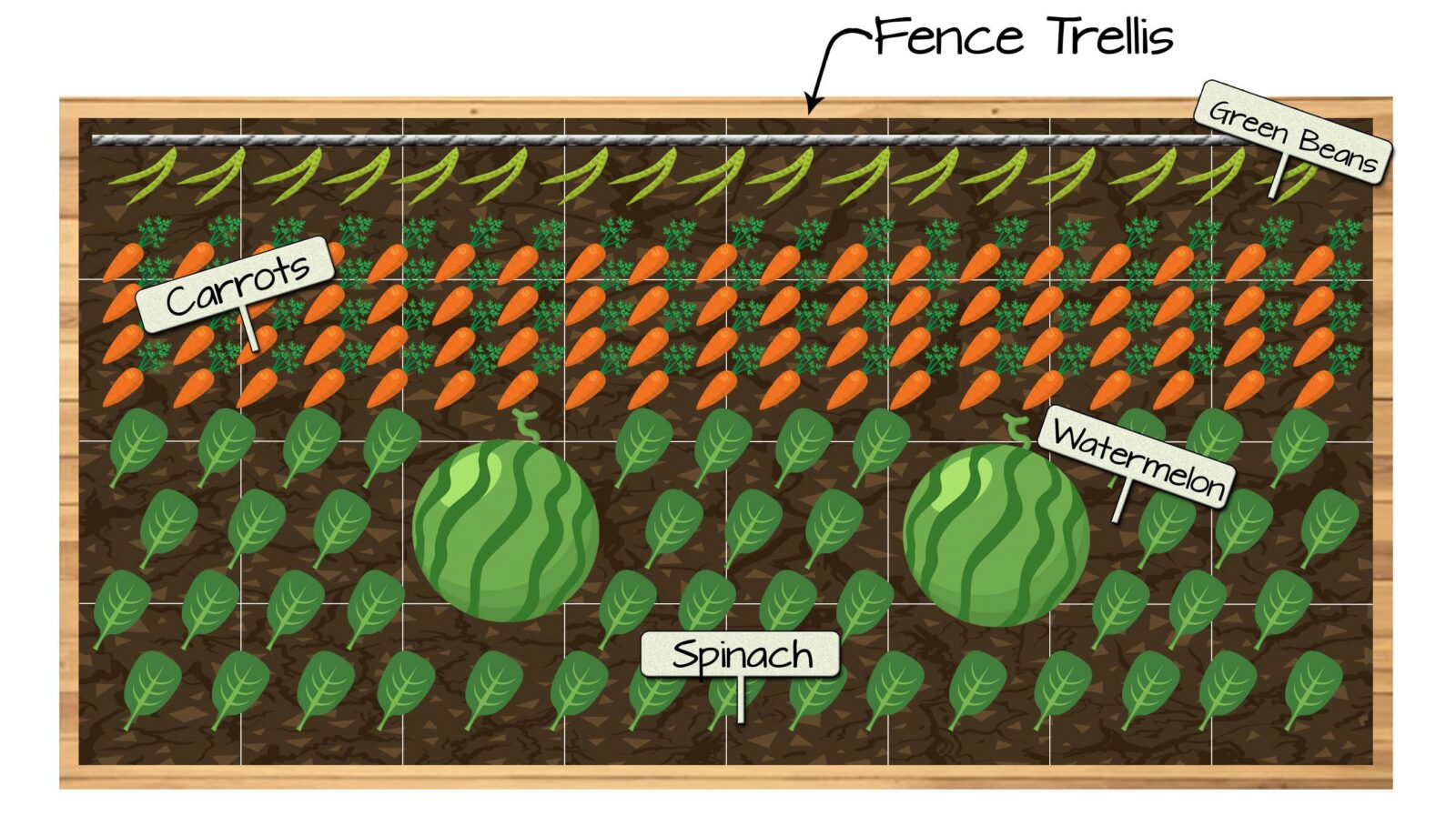 Raised Bed Vegetable Garden Plan 9 - Green Beans, Carrots, Spinach, and Watermelon
