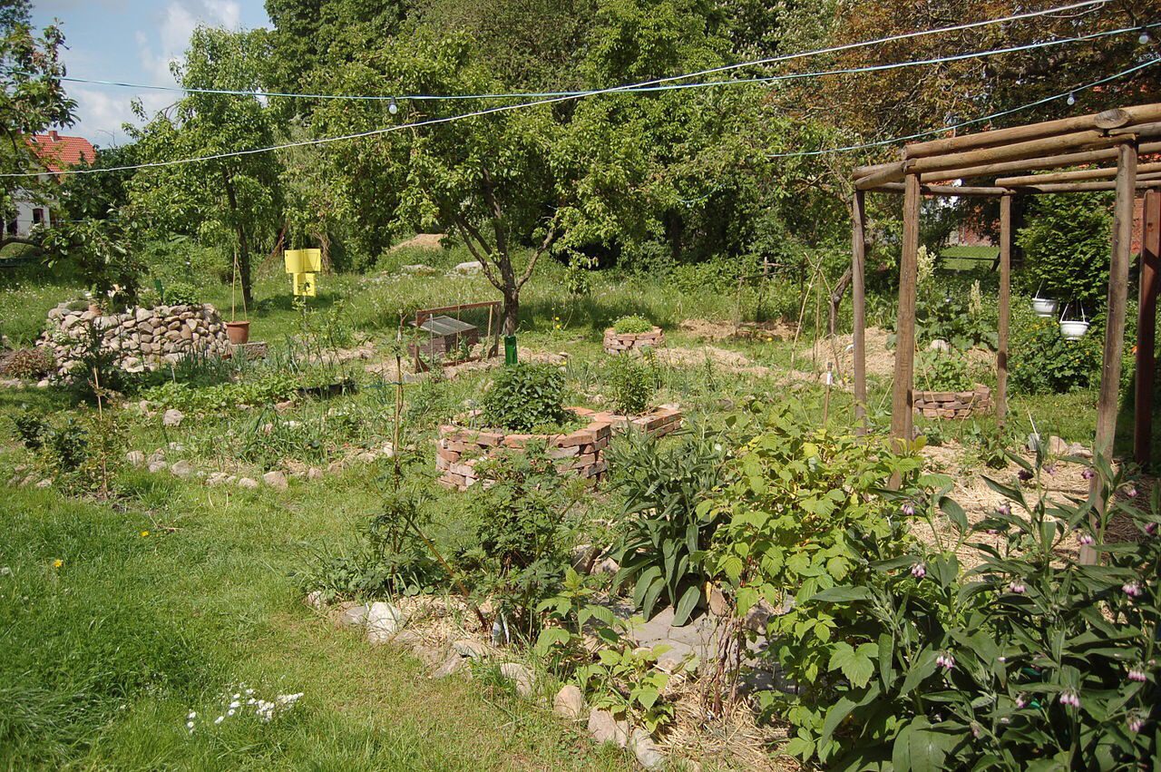 raised bed vegetable garden with herb spiral My Passion for Permaculture (and how to apply it to your homestead)!