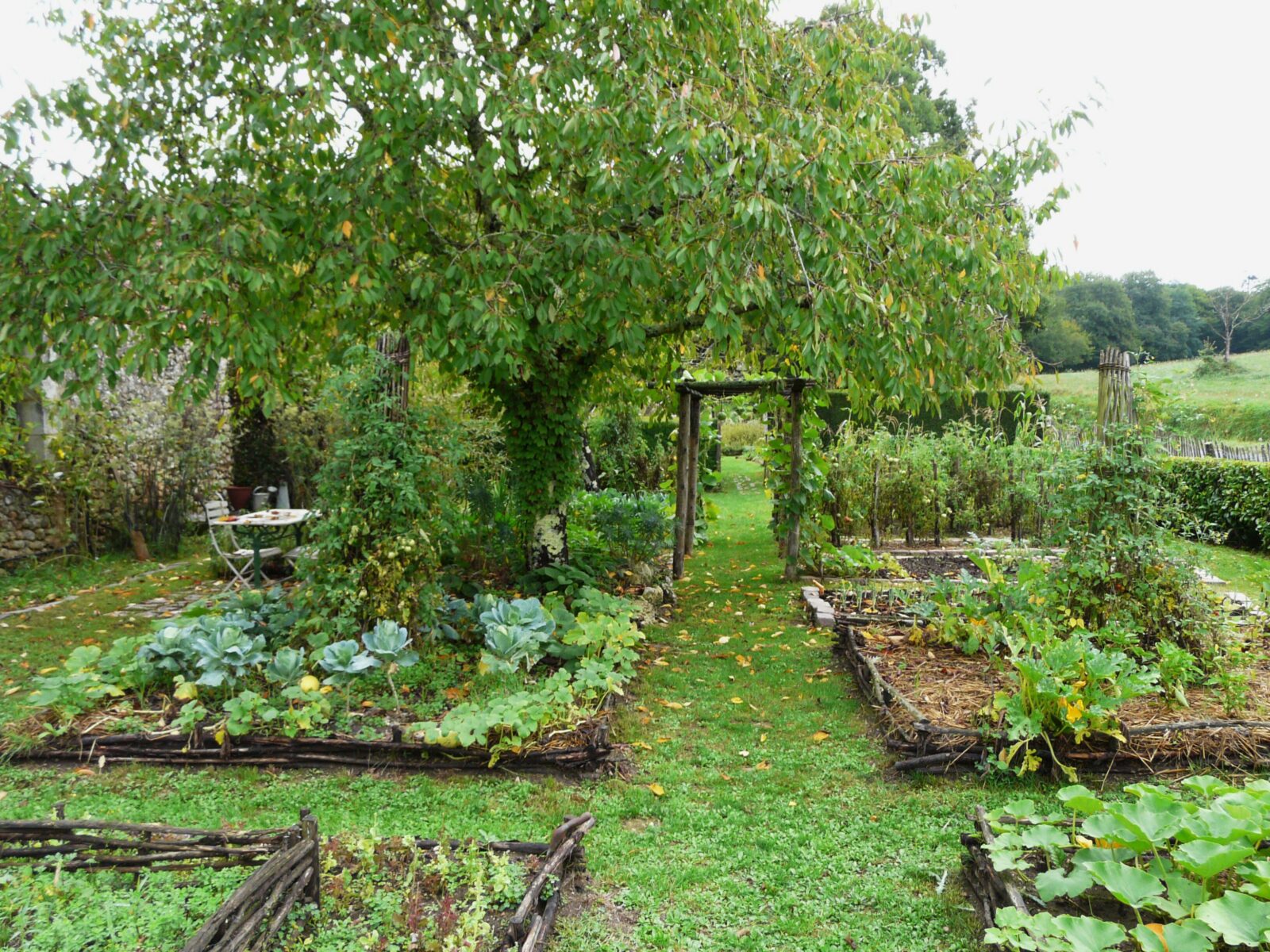 raised bed vegetable garden with woven wattle potager design Unlock the Secrets to a Perfect Garden Layout! (A Reference Tool for Gardeners)