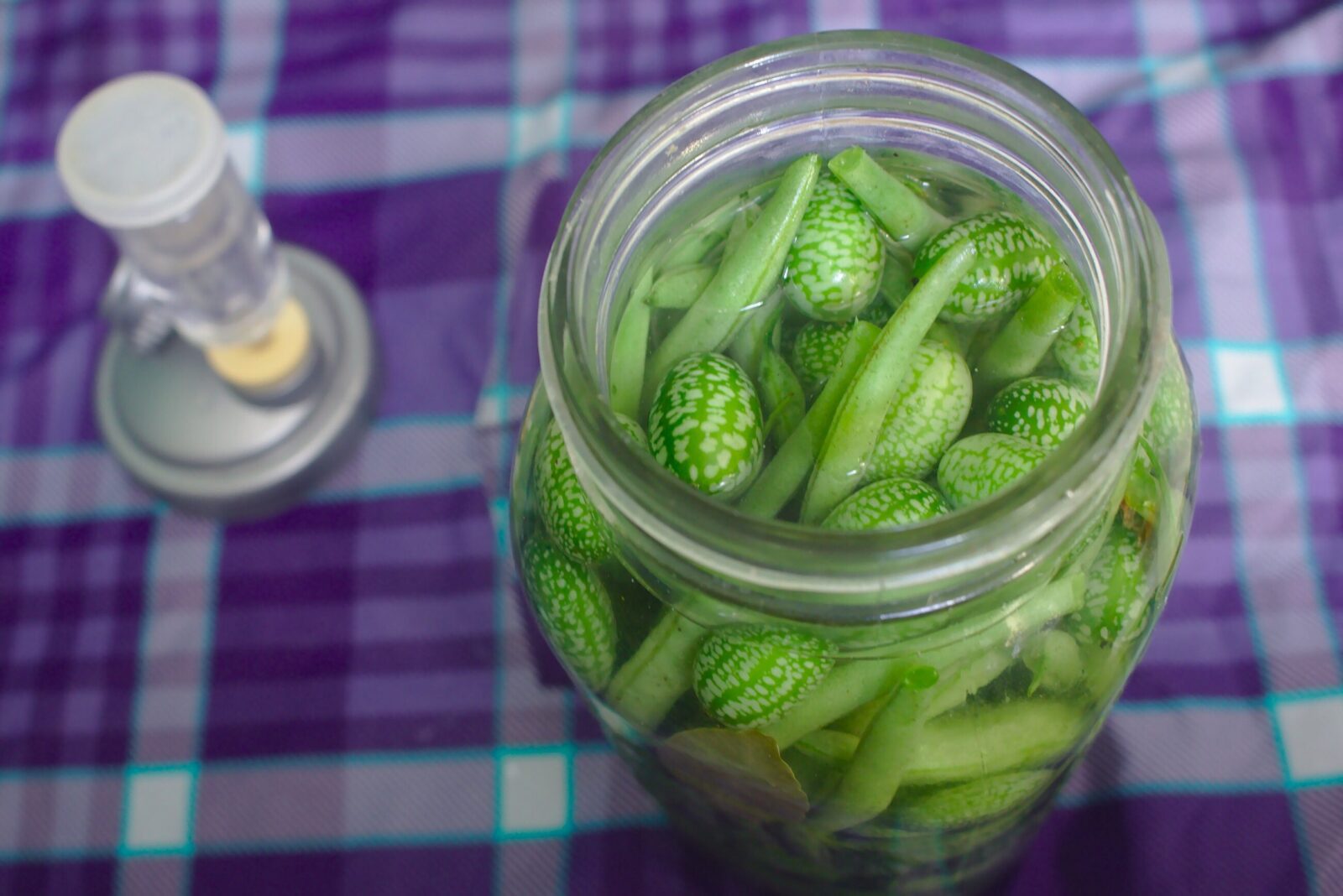 Fermentation mason jar with lid and airlock 8 Ways to Preserve Your Harvest