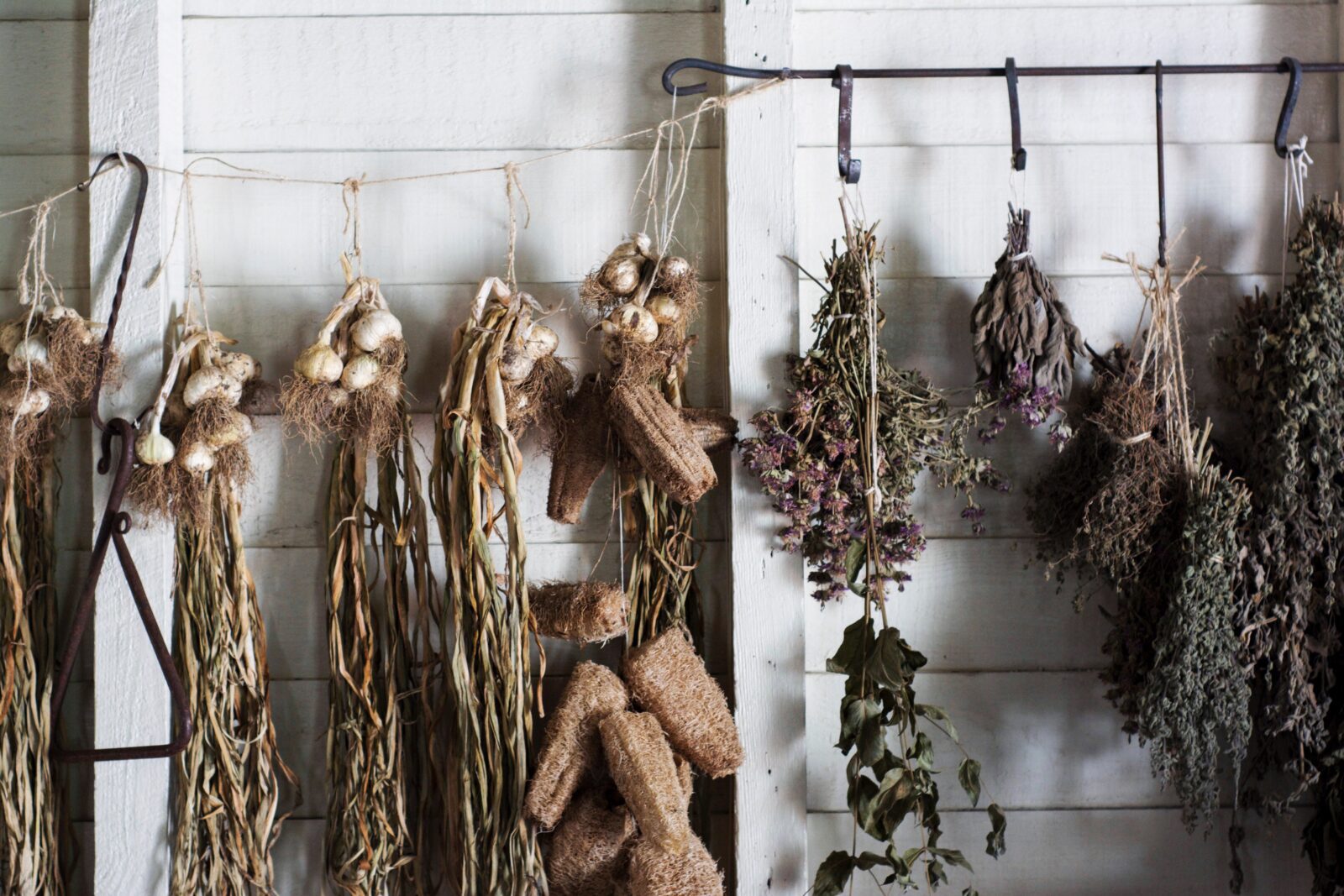 Hanging herbs vegetables garlic air drying 8 Ways to Preserve Your Harvest