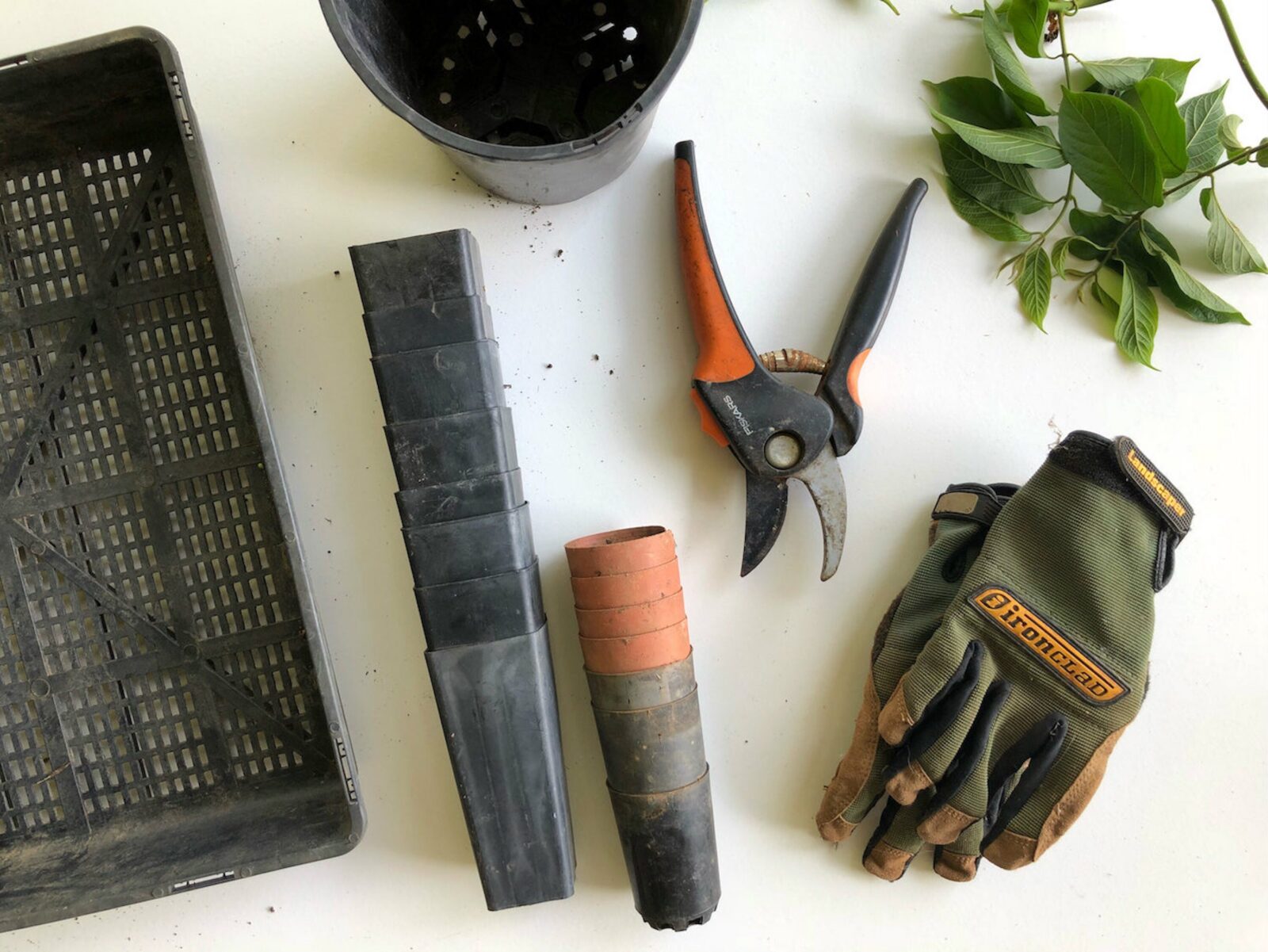 img 3123 Gardening 101: 9 Simple Steps to a Fantastic First Season!