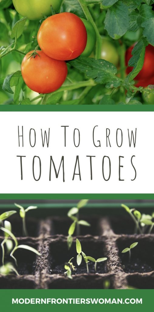 How to Grow Tomatoes How to Grow Tomatoes