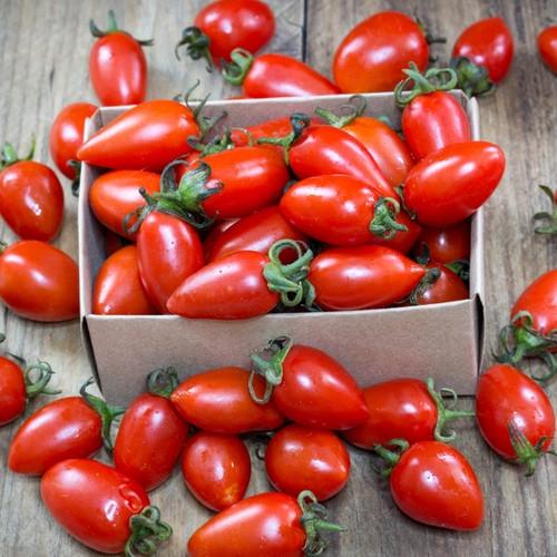 How to Grow Tomatoes