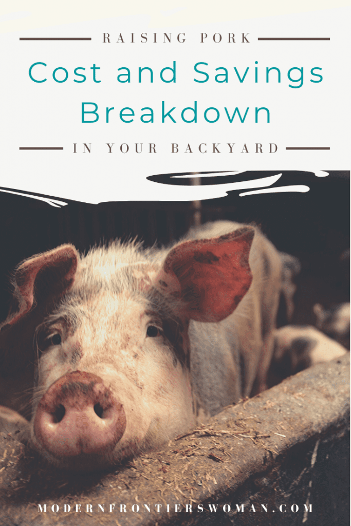 Raising pork in your backyard cost and savings breakdown