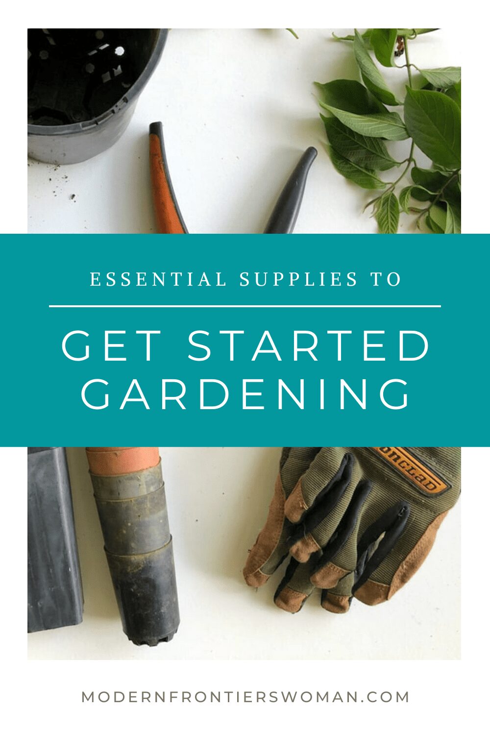 img 0829 Veggie Garden Supply List (includes starting seeds indoors)