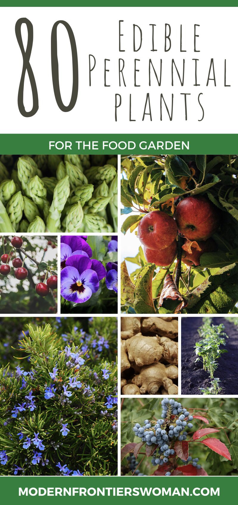 80 Edible Perennial Plants for the Food Garden