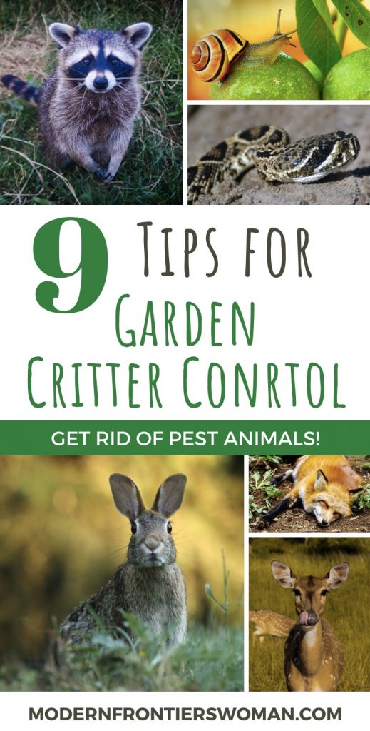 9 tips for Garden Critter Control