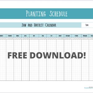 Succession Planting Schedule Free Printable