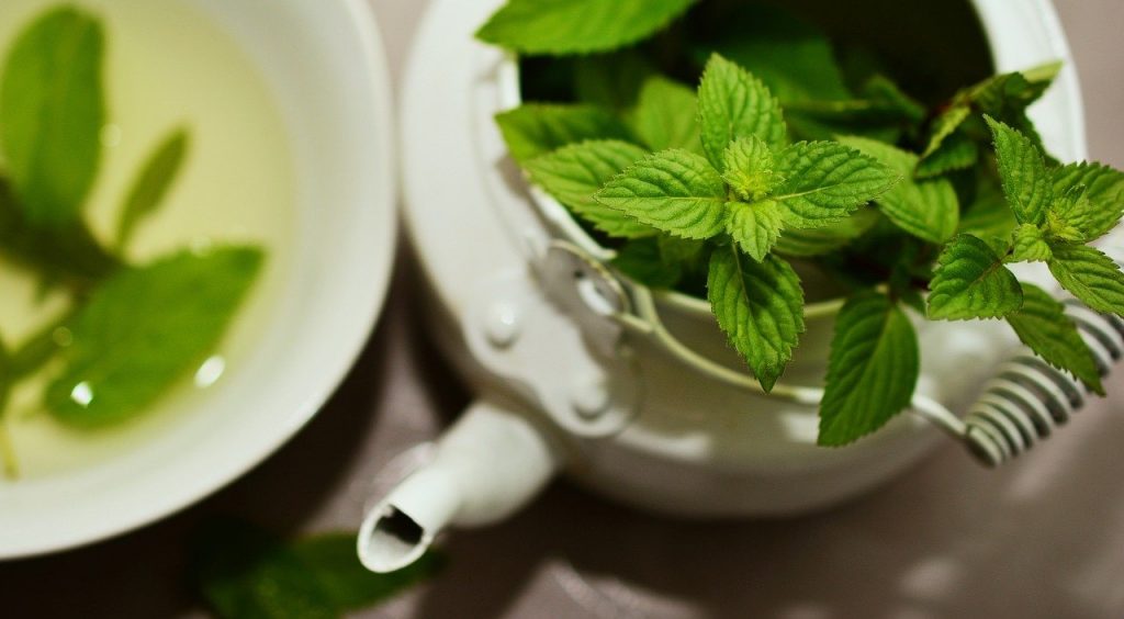 Herbal Tea How to Grow a Medicinal Tea Garden (Plus over 40 Plants!)