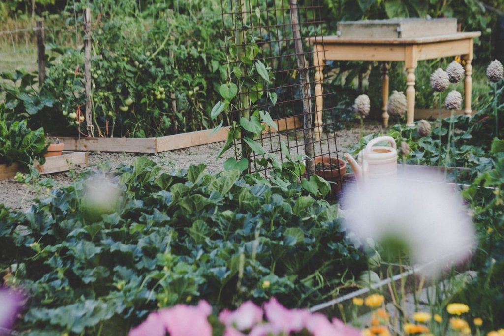 Raised Bed garden with companion planting Succession Garden Schedule How to Make a Succession Garden Schedule