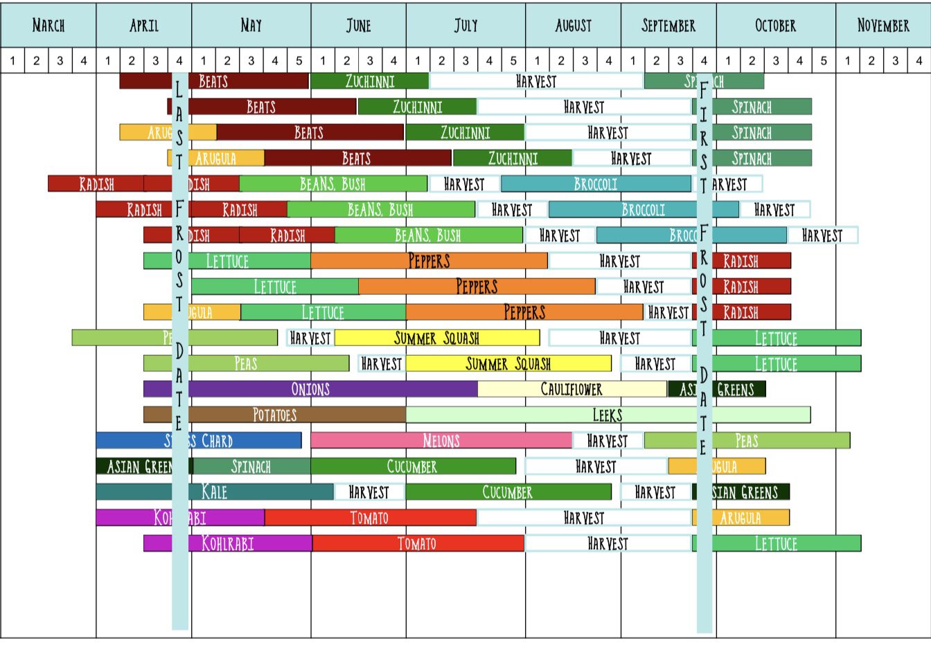 How to Make a Succession Garden Schedule
