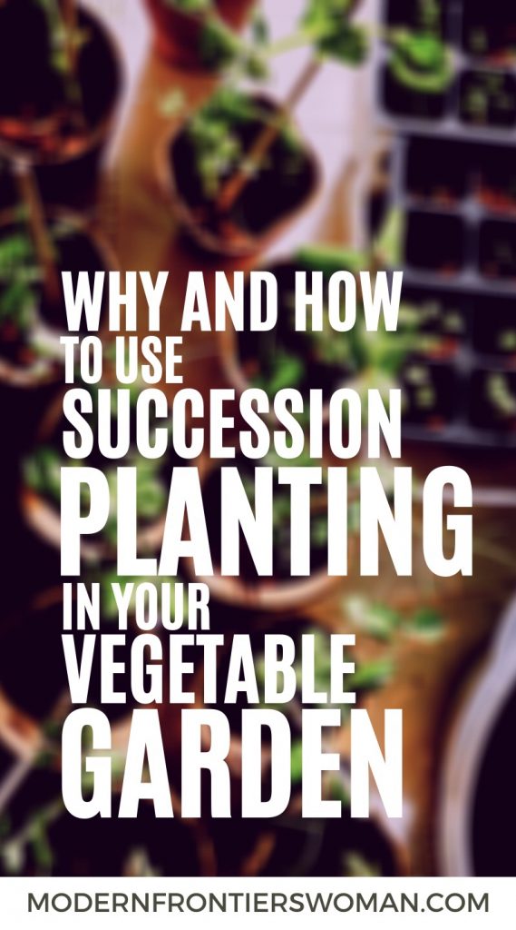 Why and how to use succession planting in your vegetable garden How to Make a Succession Garden Schedule
