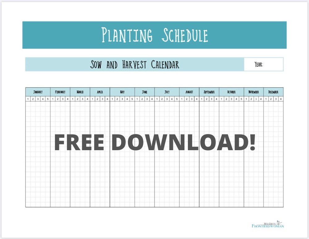 Succession Garden Schedule free printable How to Make a Succession Garden Schedule