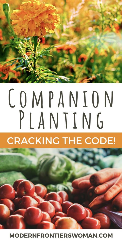 img 2597 Companion Planting: Cracking the Code