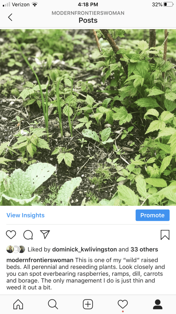 Companion Planting: Wild raised beds