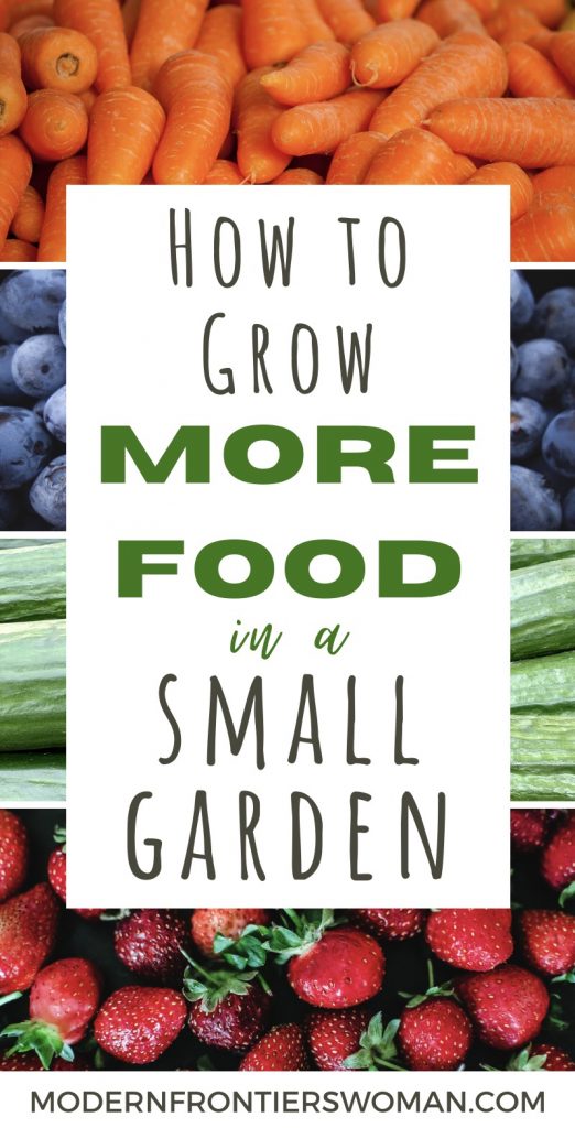 How to grow more food in a small garden succession garden schedule How to Make a Succession Garden Schedule