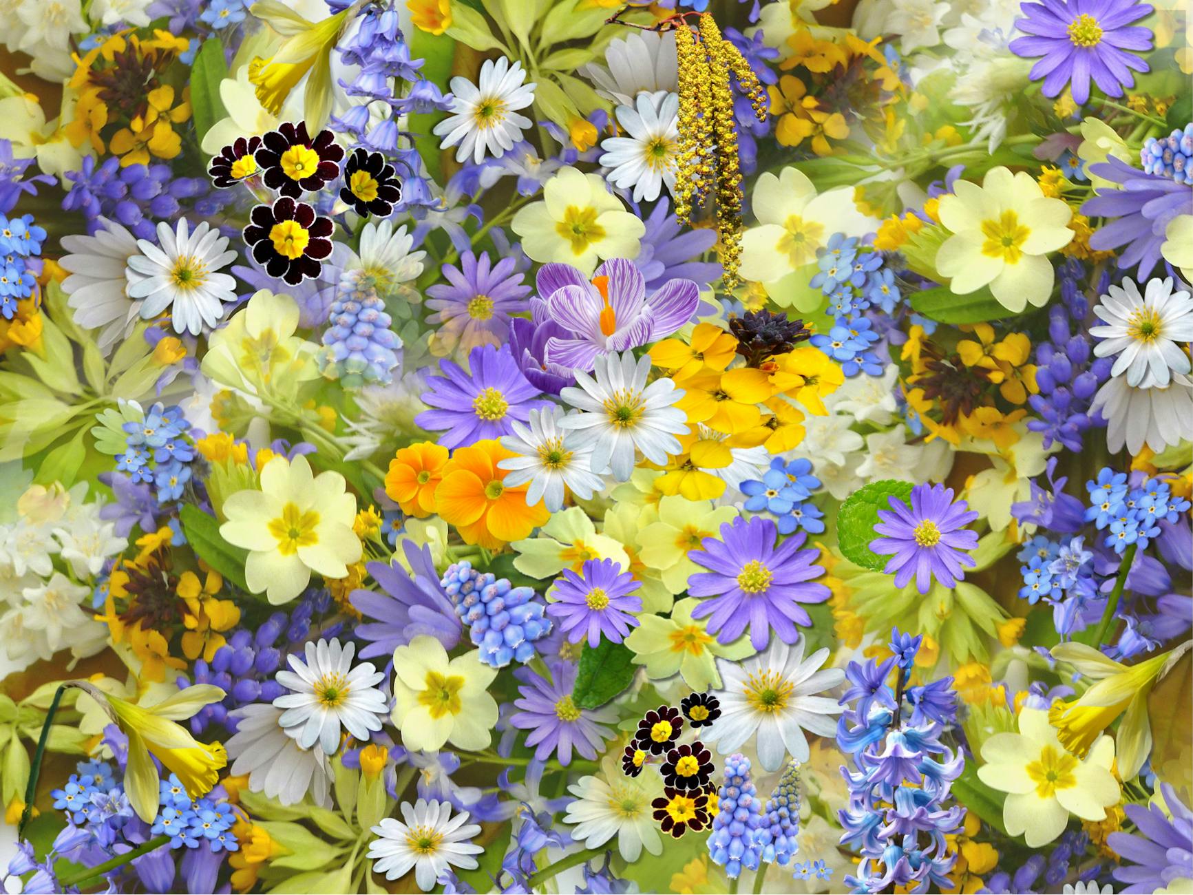 bed of flowers 20 Perennial Flowers that Bloom all Summer