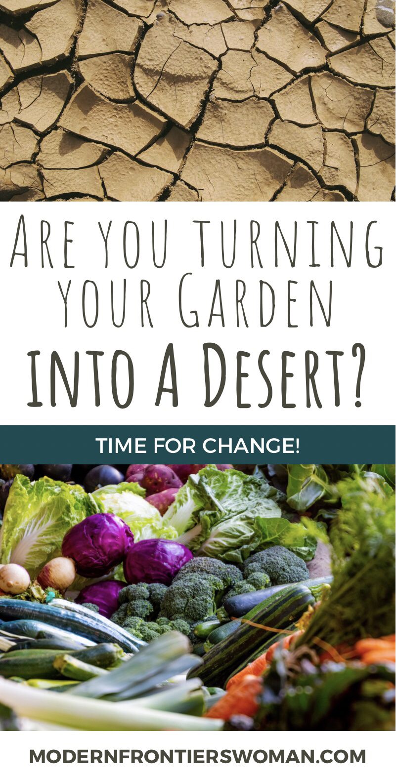 Regenerative Agriculture vs The Bare Soil Dilemma 20 Regenerative Agriculture vs The Bare Soil Dilemma