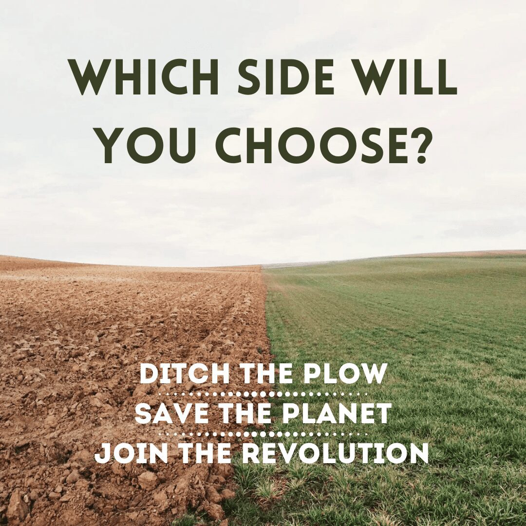 Regenerative Agriculture vs The Bare Soil Dilemma 18 Regenerative Agriculture vs The Bare Soil Dilemma