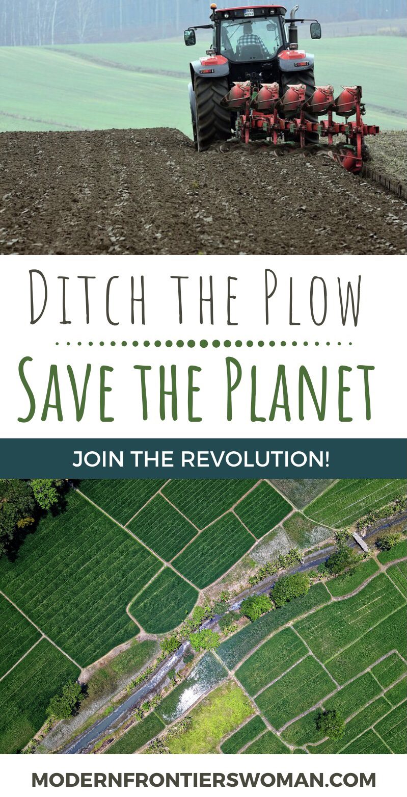 Regenerative Agriculture vs The Bare Soil Dilemma 17 Regenerative Agriculture vs The Bare Soil Dilemma