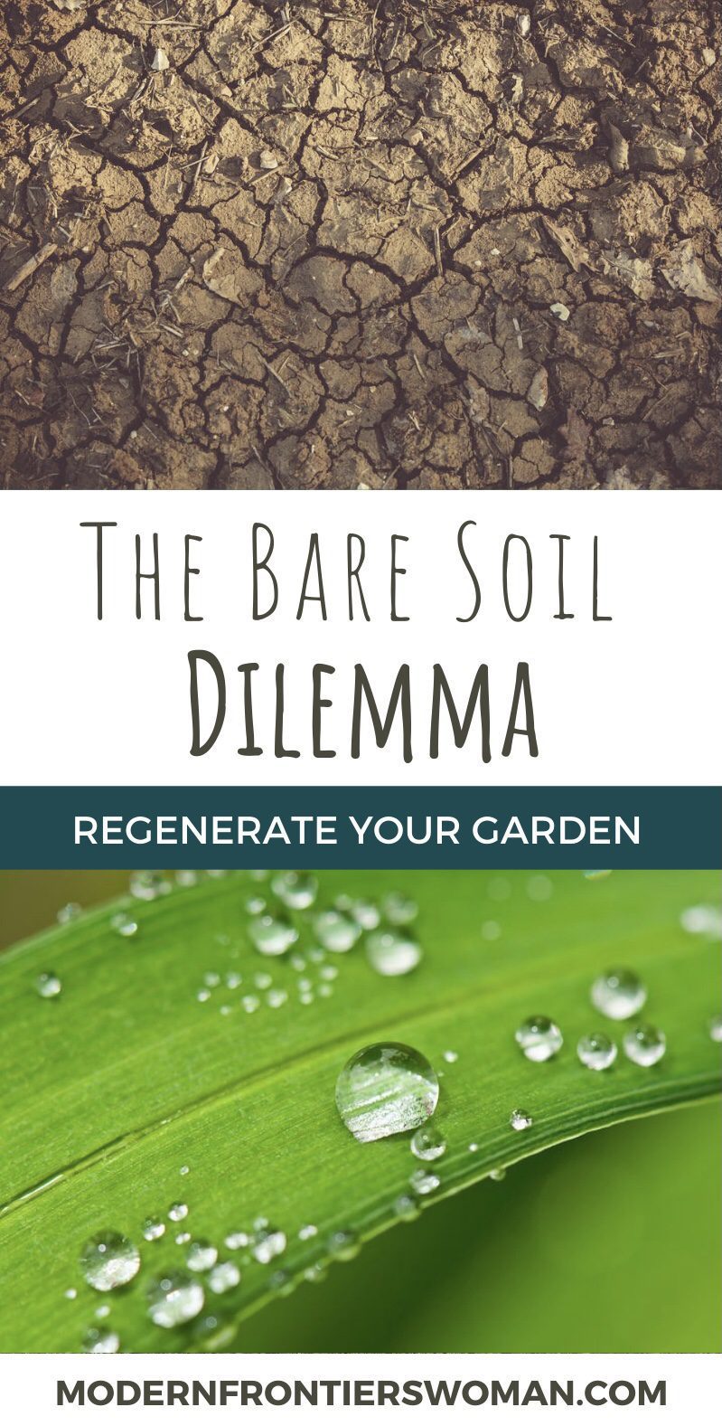Regenerative Agriculture vs The Bare Soil Dilemma 19 Regenerative Agriculture vs The Bare Soil Dilemma