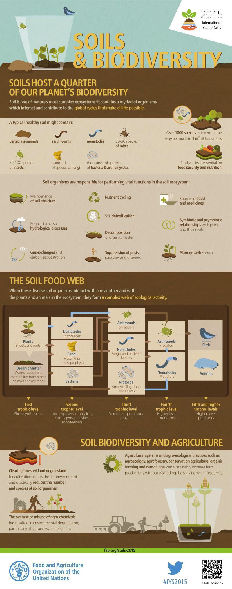 Regenerative Agriculture vs The Bare Soil Dilemma 10 Regenerative Agriculture vs The Bare Soil Dilemma