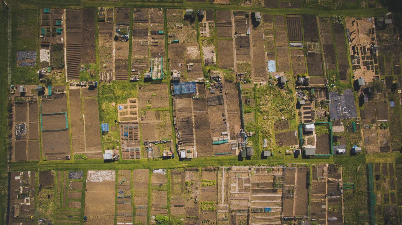 Regenerative Agriculture vs The Bare Soil Dilemma 7 Regenerative Agriculture vs The Bare Soil Dilemma