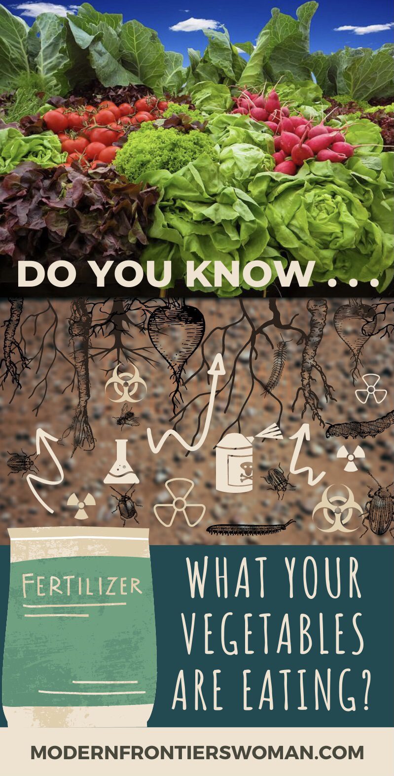 Regenerative Agriculture vs The Bare Soil Dilemma 16 Regenerative Agriculture vs The Bare Soil Dilemma