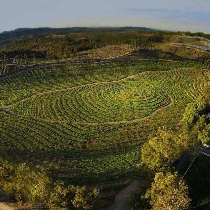 Apricot Lane Farms