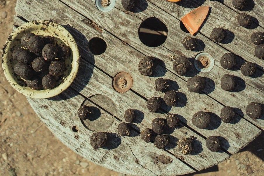 seed bombs