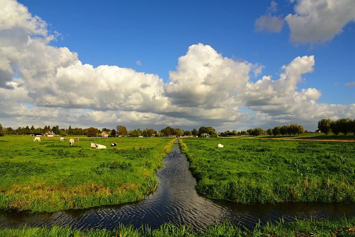 swale in farm field