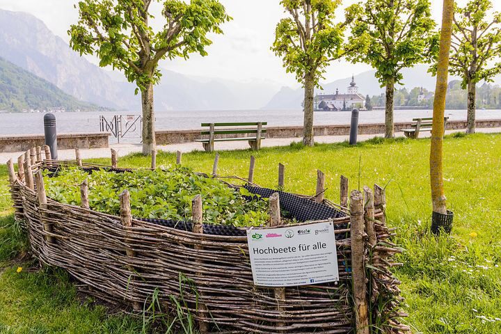 The Comprehensive Guide to Raised Bed Gardening