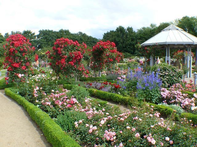 The Comprehensive Guide to Raised Bed Gardening
