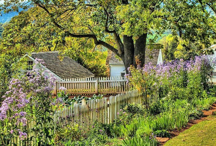 The Comprehensive Guide to Raised Bed Gardening