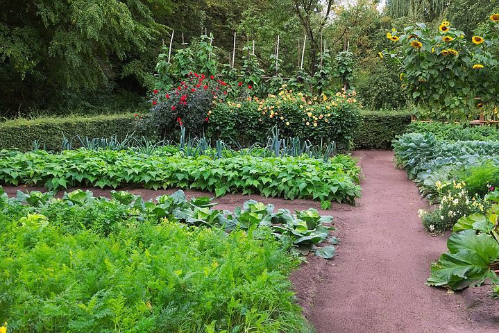 The Comprehensive Guide to Raised Bed Gardening