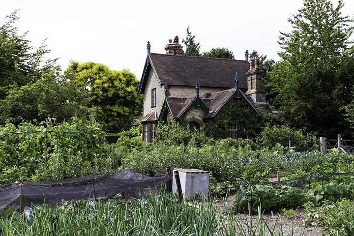The Comprehensive Guide to Raised Bed Gardening