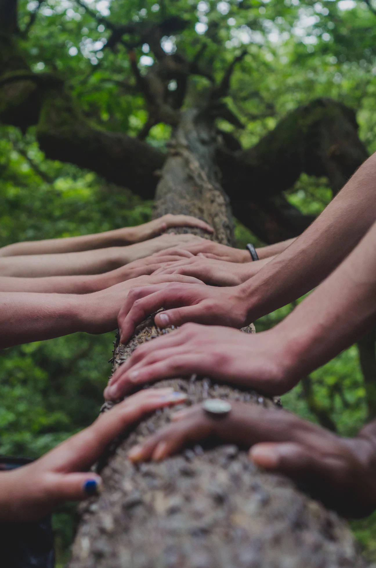 Community The Ultimate List of Homesteading Skills!
