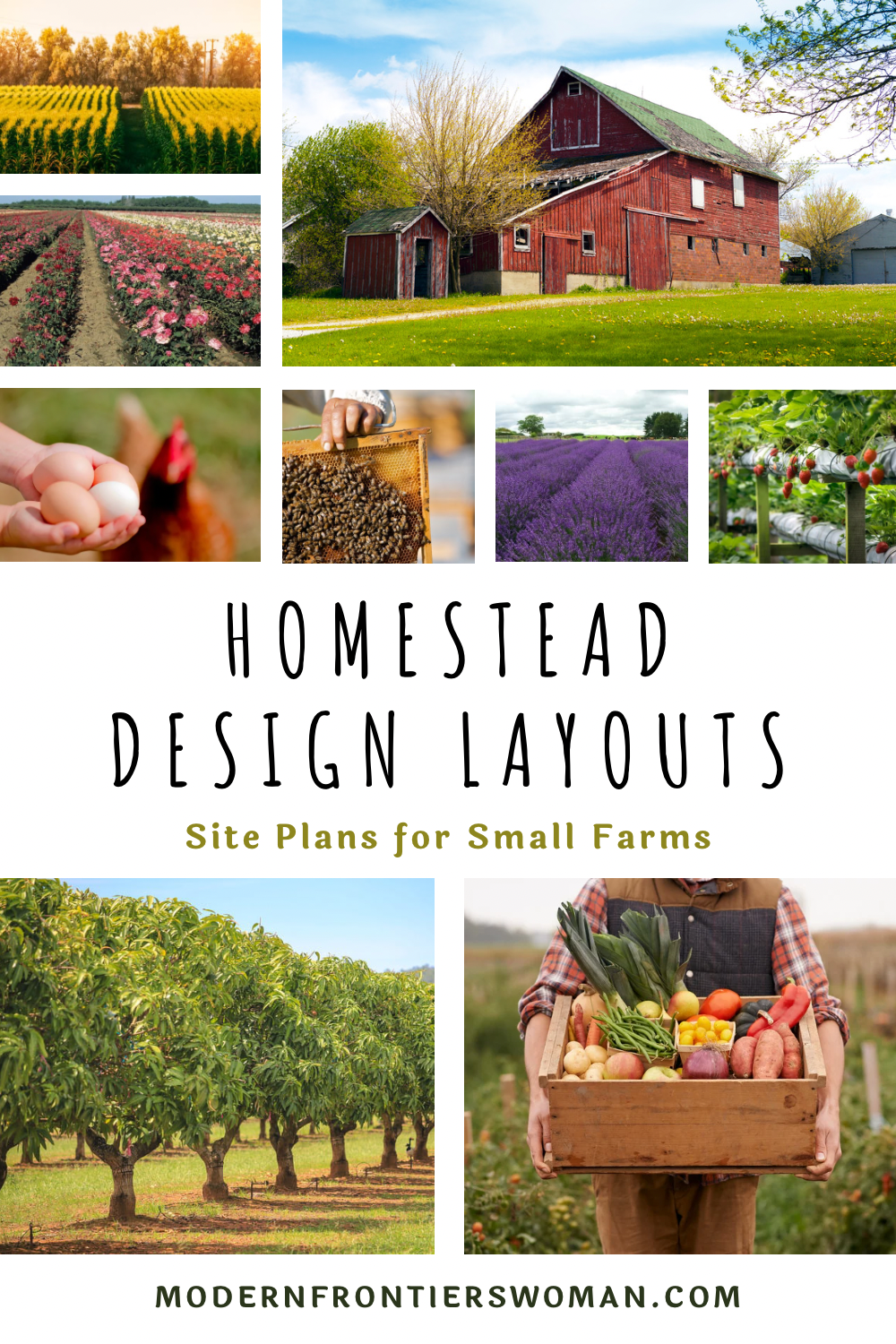 Homestead Design Layouts