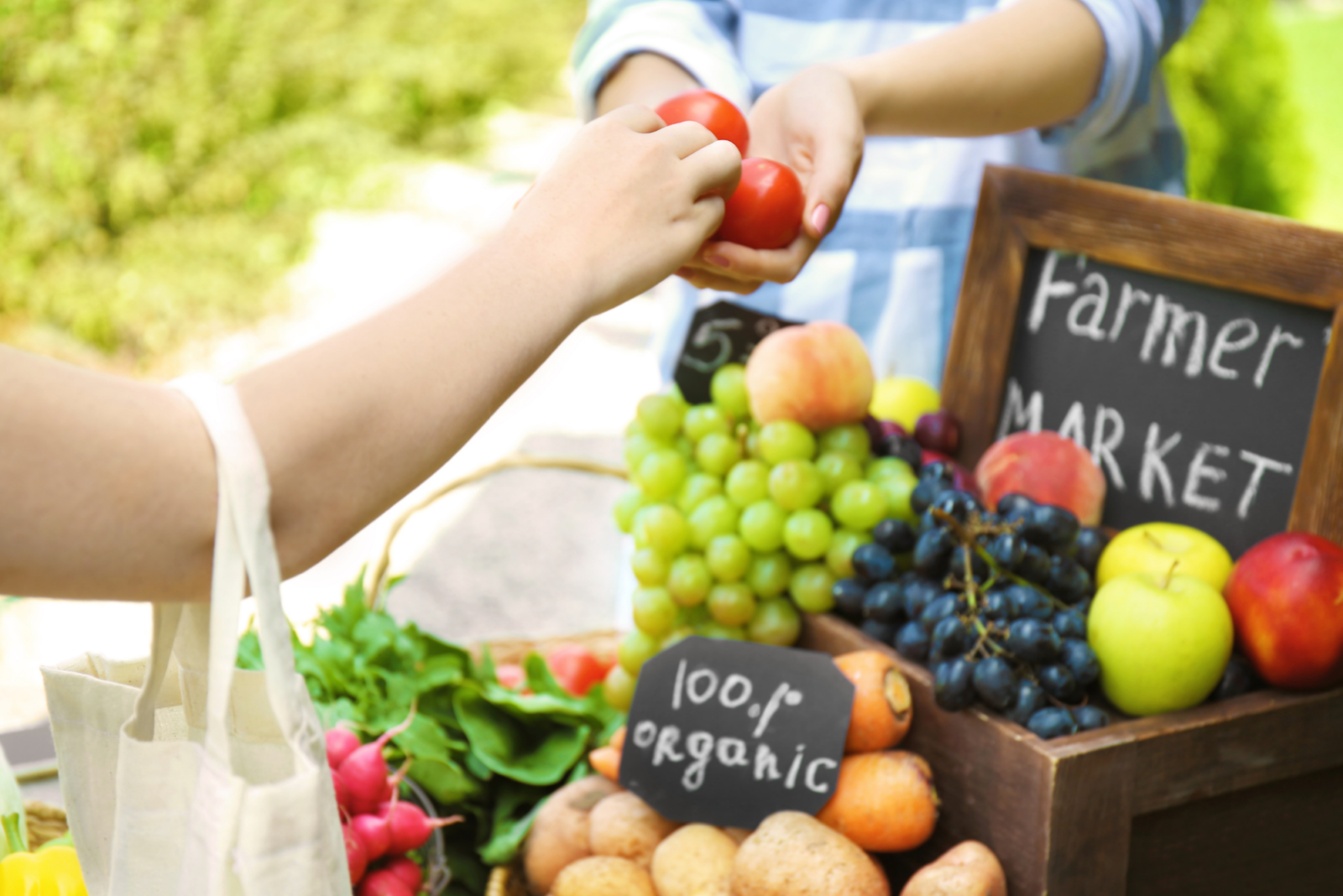 side hustles for farmers 75+ Side Hustles for Farmers to Boost Income